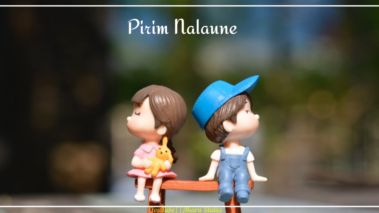 Pirim Nalaune Nepali song statusNepali Love song WhatsApp status
