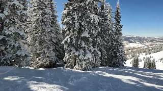 Vail Day 3 - Back into the trees