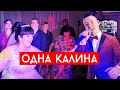 София Ротару - Одна калина (cover Виталий Лобач)