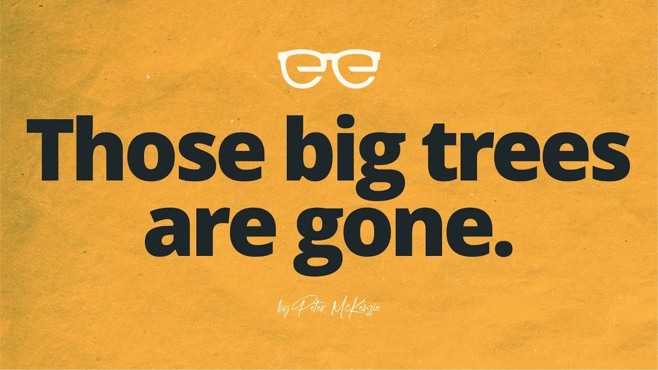 Those big trees are gone - YouTube