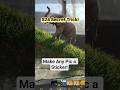 Samsung S24 Hidden Feature 🤯 Make Your Own Stickers Instantly! #shorts ##shortsfeed #youtubeshorts