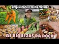 MANHÃ PRODUTIVA NA ROÇA/PLANTANDO E COLHENDO LEGUMES PREPAREI UM DELICIOSO ALMOÇO NO FOGÃO A LENHA