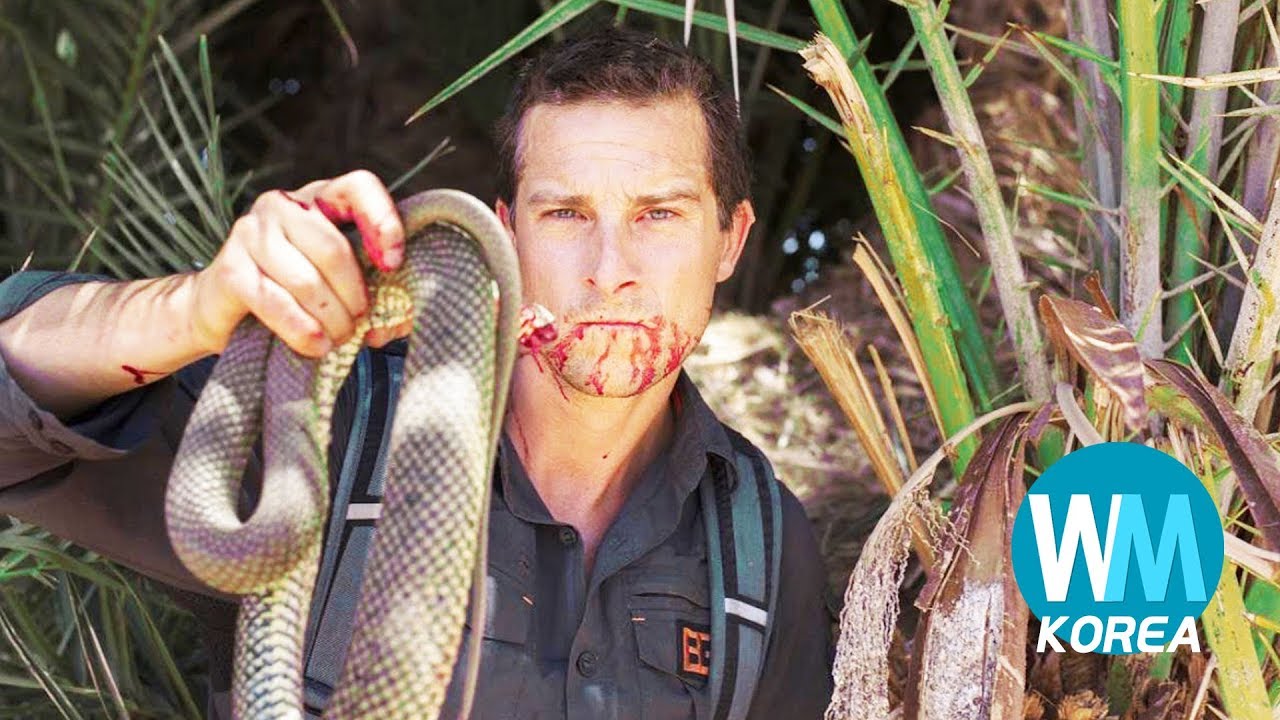 베어그릴스 미친 야생 생존 법 TOP 10