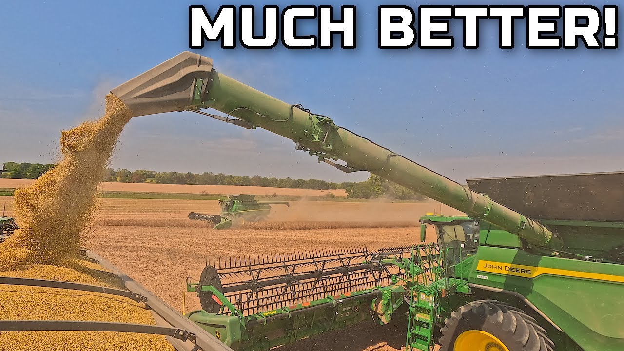 Урожай домашней фермы: большой поворот!