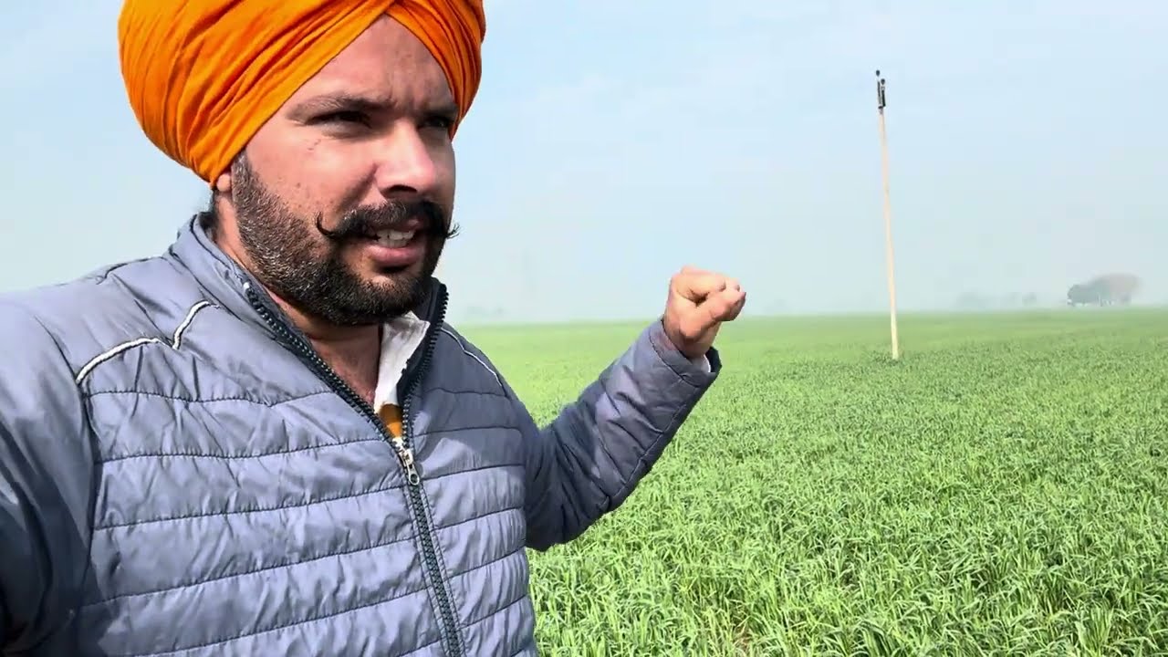 ਕਣਕ 🌾 ਚ ਮੀਂਹ 🌧️ ਦਾ ਪਾਣੀ // ਨਿੱਕੇ ਇੰਜਣਾਂ ਦਾ ਬਹੁਤ ਫਾਇਦਾ ਸਾਨੂੰ 🙏🏻 // ਨਵਾ MAHINDRA ਪਿੰਡ ਮਹਿਮਦਪੁਰ 💐💐