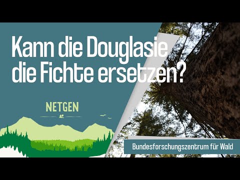 Video: In welchem Abstand sollten Douglasien gepflanzt werden?