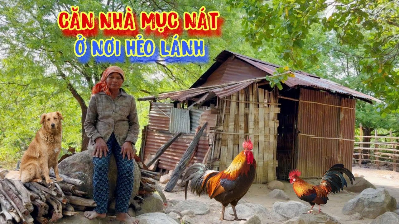 BỮA ĐÓI, bữa no, hơn 20 năm ở trong rừng, có gì ĂN NẤY - tập 1467