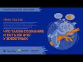 Биолекторий |  Что такое сознание и есть ли оно у животных? – Иван Хватов