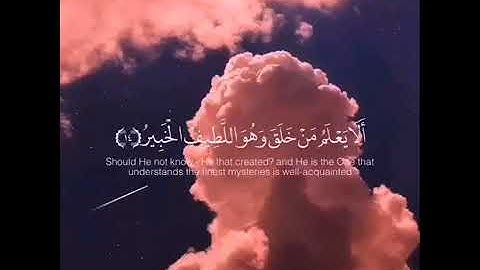 اجمل حالات واتس اب قران كريم بصوت جميل جدا🖤 ||اسلام صبحي||🖤-- تلاوة خاشعة 🌘😴