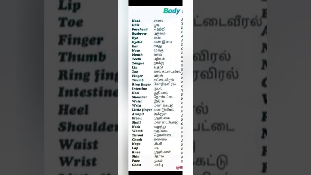 Body parts english and tamil meanings - YouTube