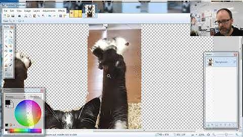 How To Delete The Background Behind An Image to Make it Transparent PNG - 2019 - Paint.net