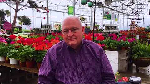 Gardening Tips with Neil Sperry: Choosing a Shade ...