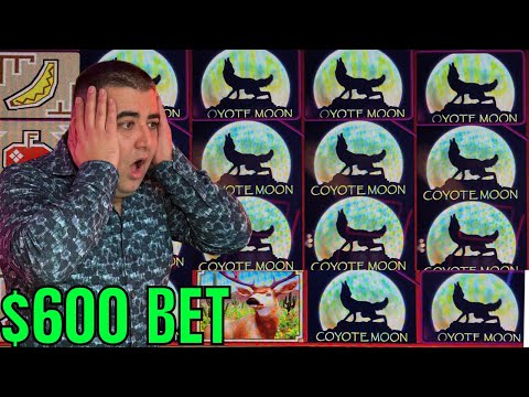 $600 BETS & INSANE JACKPOTS in ONE SESSION! 馃幇 MEGA WINS!