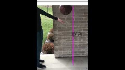 PHY 201 E.C: Free Fall and Kinetic Energy