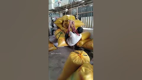 Người đàn ông này đu dây để bốc xếp hàng