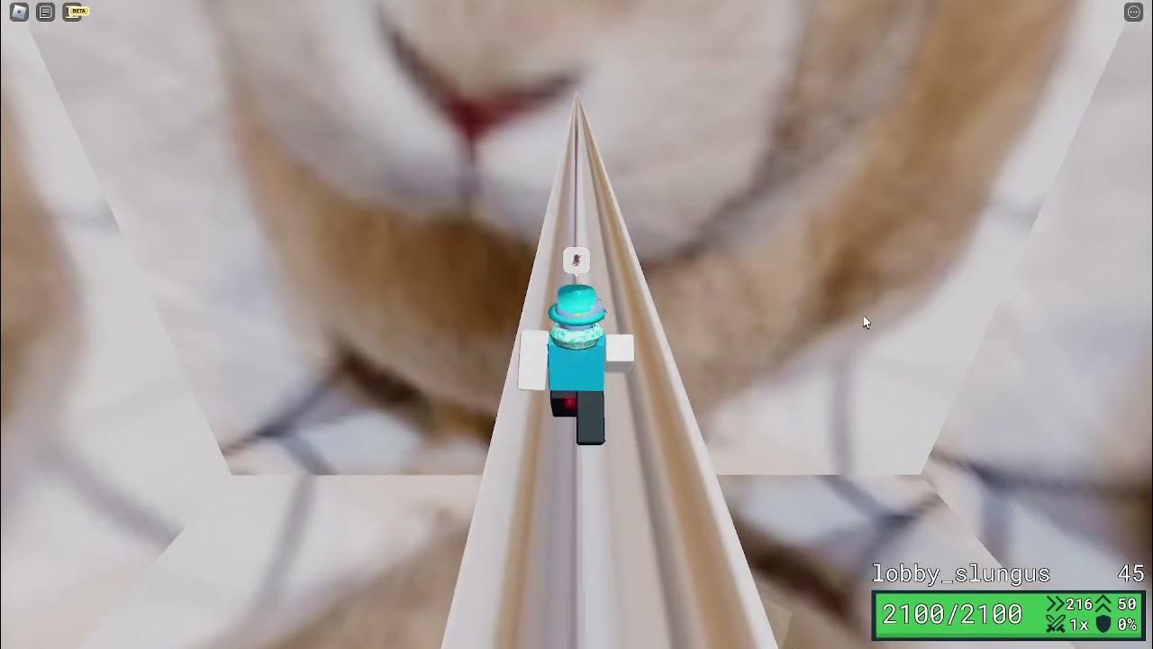 Roblox Item Asylum What's at the end of the Slungus lobby? YouTube