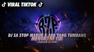 [VIRAL TIKTOK] DJ SA STOP MABUK X ADA YANG TUMBANG [ slowed - reverb ] MENGKANE CUI