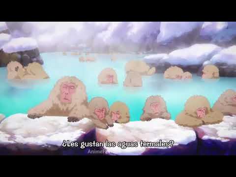 Musaigen no Phantom World - wow! I can't believe it! [Musaigen no Phantom  World Final Episode] Ferishia-san, Anime Hub v.2