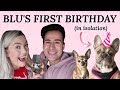 PUPPY'S FIRST BIRTHDAY PARTY! (In Isolation)