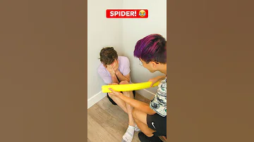 SPIDER Shorts 