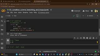 Python baseline 03: Condition control, branching and loops