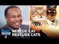 A Sprinkling of Sunshine - Animals in the News | The Daily Show