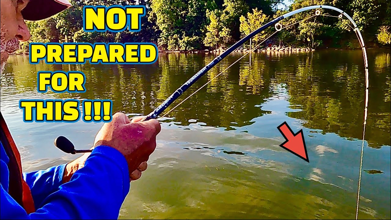 FISHING the TENNESSEE RIVER !! (BIG FISH CATCHES)