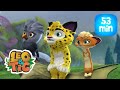 Leo & Tig - O despertar do dragão e mais episódios completos  | Desenho infantil 🐯🦁