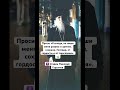 «Господи, не лиши меня разума и зрения…» - Старец Николай Гурьянов