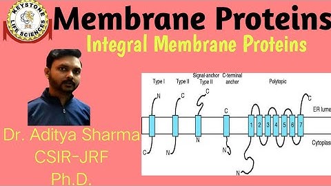 Integral Membrane proteins (हिन्दी में ) by Dr. Aditya Sharma Ph.D. For #CSIR-NET#jnu #DBTjrf #M.Sc.