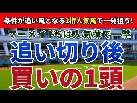 マーメイドステークス2022 追い切り後【買いの1頭】公開！波乱必至のレースは自信の2桁人気馬で大勝負マーメイドSは過去の傾向からアノ馬一択！