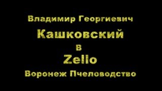 В Г Кашковский встреча с пчеловодами на канале Воронеж Пчеловодство Zello 28 02 2019