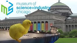 Museum of Science and Industry Chicago Tour & Review 