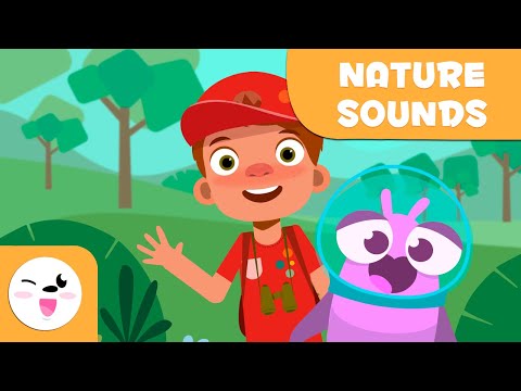 ⁣Relaxing forest Birds Singing - NATURE SOUNDS for Kids (Episode 3)