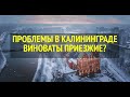 ПРОБЛЕМЫ В КАЛИНИНГРАДЕ  ВИНОВАТЫ ПРИЕЗЖИЕ?