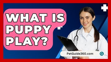 What Is Puppy Play? - PetGuide360.com