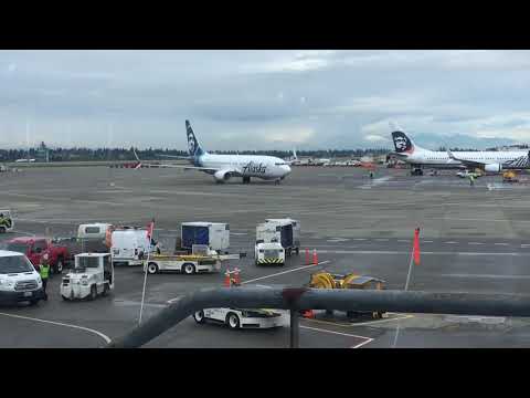 Wideo: Lotnisko Seattle-Tacoma Pozwoli Ci Spotkać Się Z Przyjaciółmi I Rodziną Po Raz Pierwszy Od 11 Września
