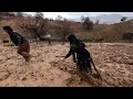 Continued flooding and flooding of roads and destroying the house of Chaman family