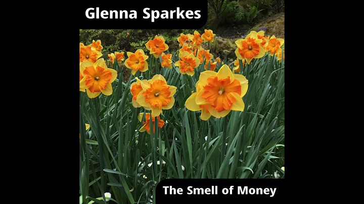 Glenna Sparkes - The Suicide (A Song For Terry)