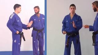 Tae Kwon Do - palm block