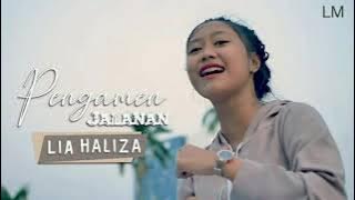 Pengamen Jalanan - Lia Haliza (lirik)