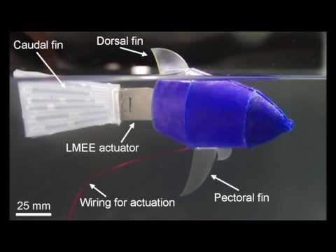 Researchers engineer "thubber," a stretchable rubber that packs a thermal conductive punch, for heated garments and robot muscles