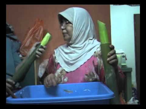 Agrotek 9 Apr 2011 - Pembakar Ayam dan Lemang  Doovi