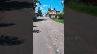 Walking in El Rancho #abasolo #guanajuato #youtubeshorts #mexicotravel #mexico #rancho
