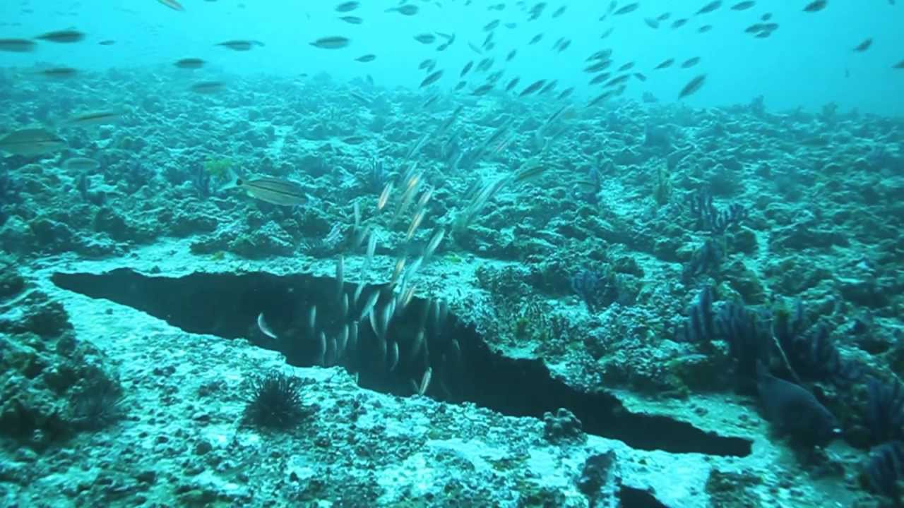 Diving Hatteras YouTube
