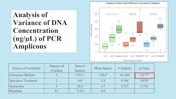 Blow Flies Under the Lens: Forensic DNA Retrieval Post-ESEM