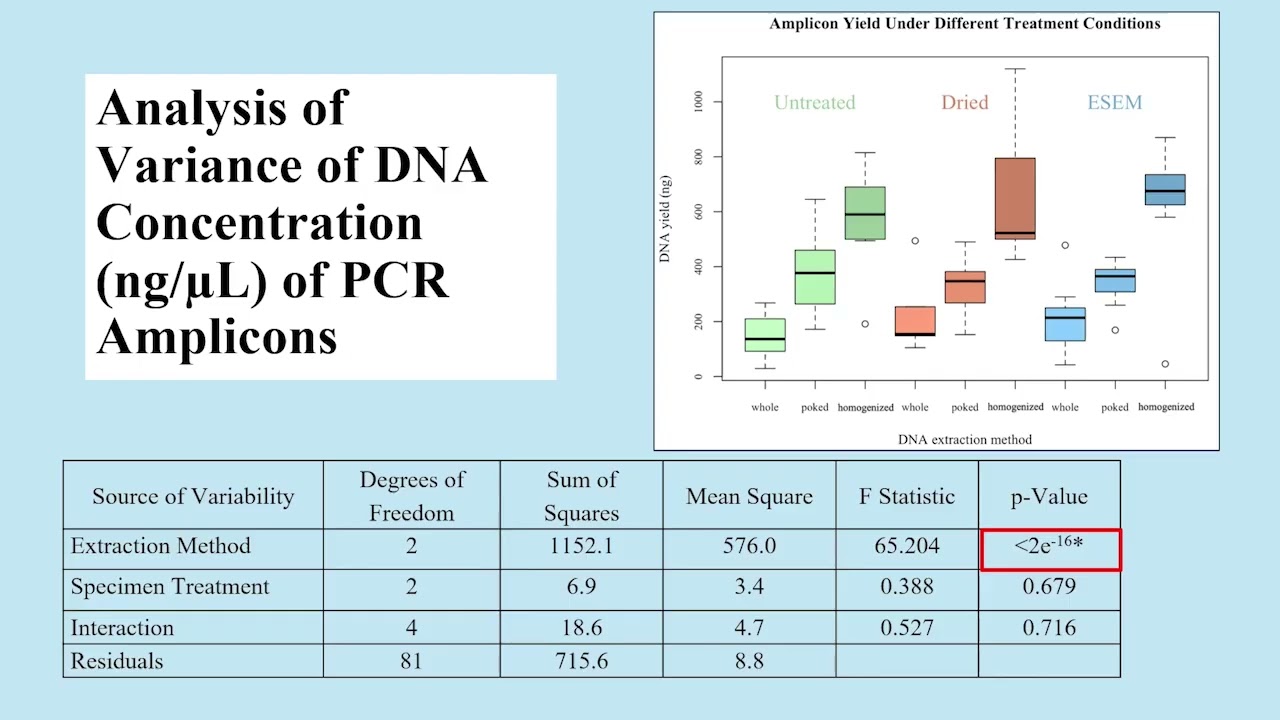 Blow Flies Under the Lens: Forensic DNA Retrieval Post-ESEM