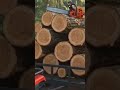 #echotoon #kids #bedtimestories #kidsshorts #funny #animalstory #preschool #puppy