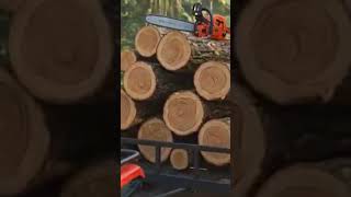#echotoon #kids #bedtimestories #kidsshorts #funny #animalstory #preschool #puppy