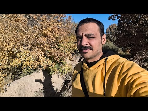 لایو پاییزی از دل طبیعت